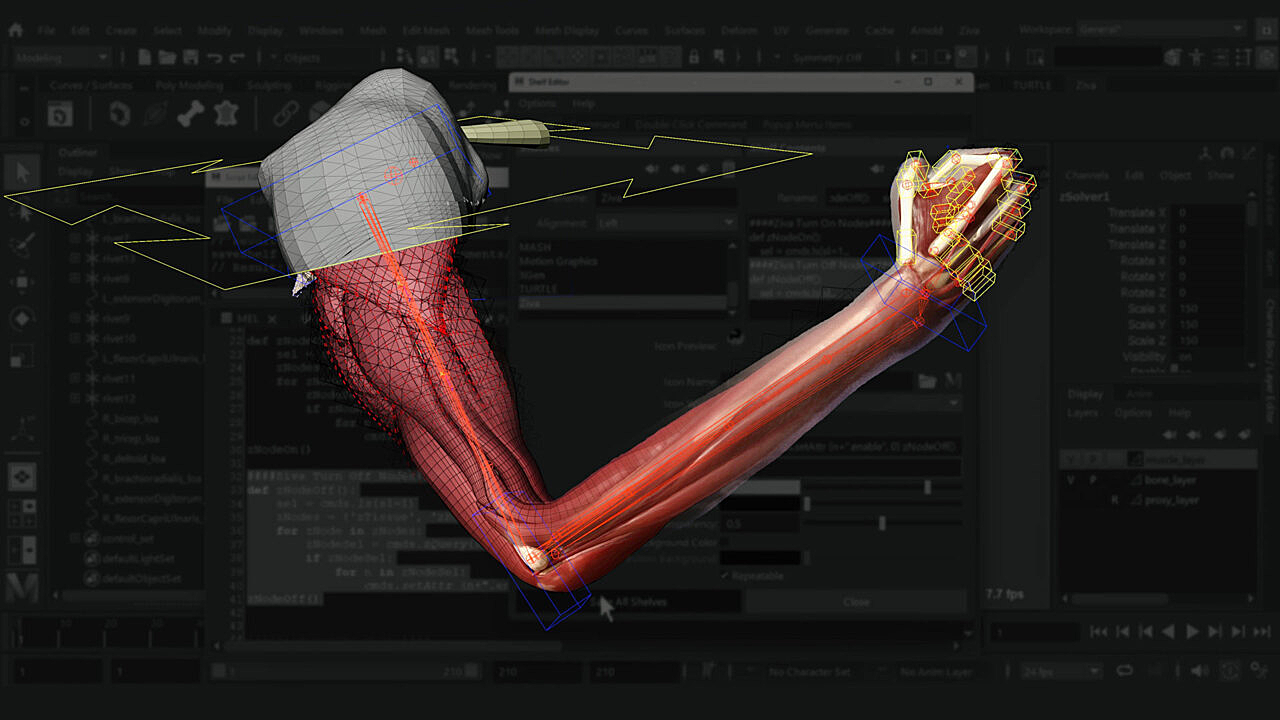 The Gnomon Workshop – Ziva VFX技术介绍（第一卷）