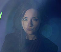 【素材】给女友拍Vlog灵感乍现大礼包 260 组充满活力的专业镜头光晕素材 20G