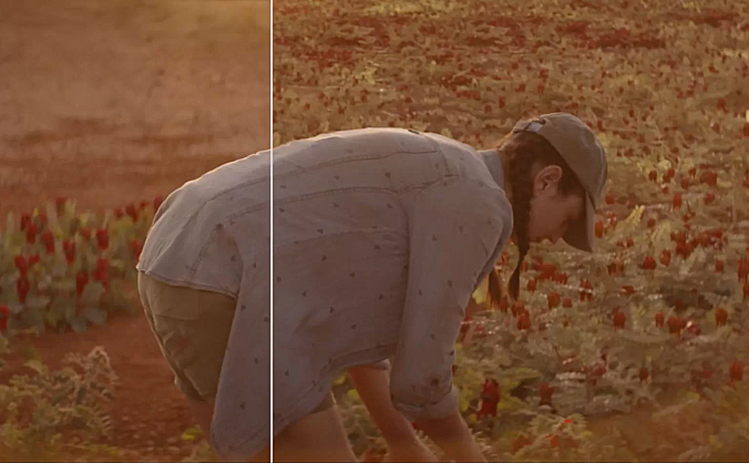 Alt.VFX制作的《爱丽丝·哈特的失落之花(The Lost Flowers of Alice Hart)》-视效解析