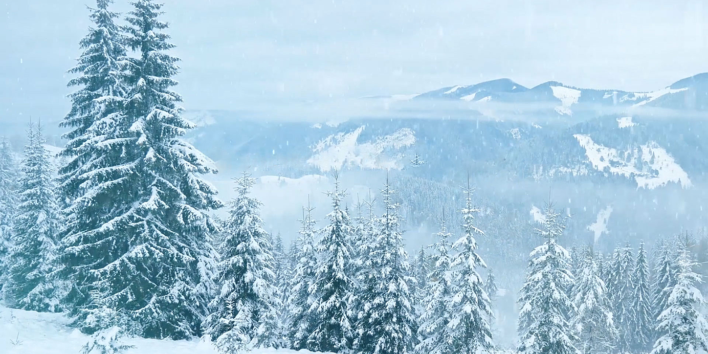 【素材】Vlog 超级炫酷效果 (Red相机拍摄的79 组实拍雪、霜和冰效果素材)