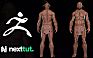 Udemy – ZBrush游戏角色雕刻技术